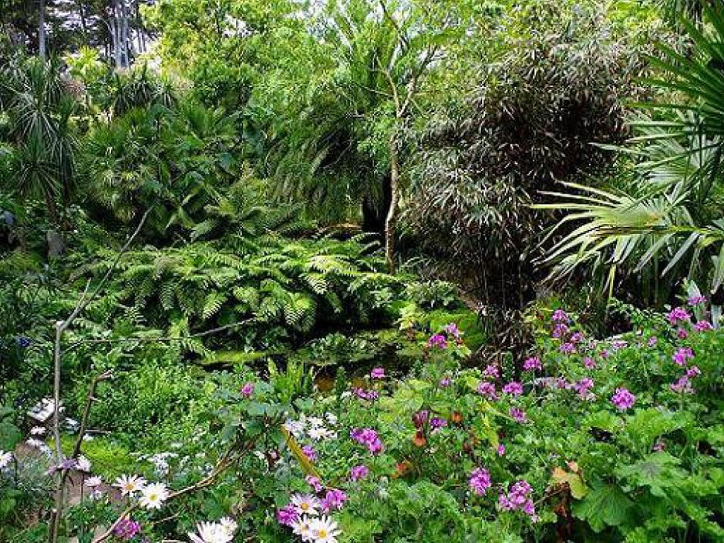 131 Ile de Batz Jardin Georges Delaselle_000004.jpg